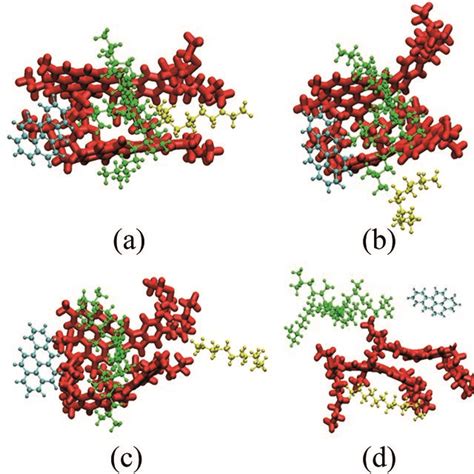 Representative Snapshots Of Five Typical Molecules Snapshots Are Taken