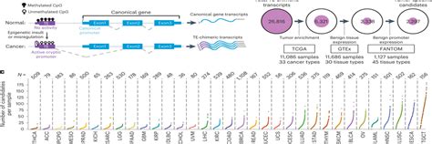 Pan Cancer Analysis Identifies Tumor Specific Antigens Derived From Transposable Elements Wang