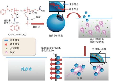 中科大刘世勇教授等20余位学者所著新书《大分子自组装新编》出版中国聚合物网科教新闻