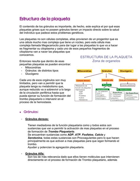 Solution Aspectos Histol Gicos De Las Plaquetas Y Sus Alteraciones