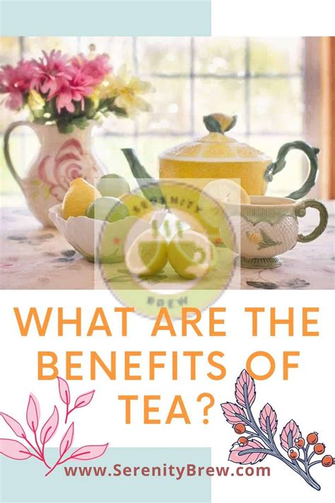 What are the benefits of tea? - Serenity Brew