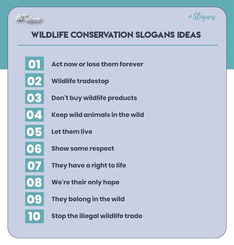 101 Best Wildlife Conservation Slogans Ideas And Examples Tiplance