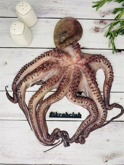 Осьминог свежемороженый Индонезия 1-2 кг - Морепродукты и рыба – купить ...