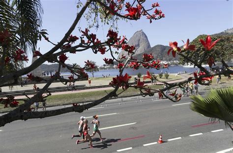 Fotos Os Jogos Ol Mpicos O Rio De Janeiro Como Pano De Fundo