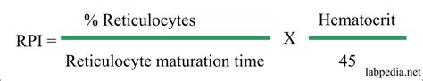 Reticulocyte Count Calculation