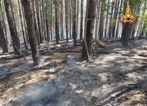 Vasto Incendio Nei Boschi Di San Cassiano Ancora In Corso Le