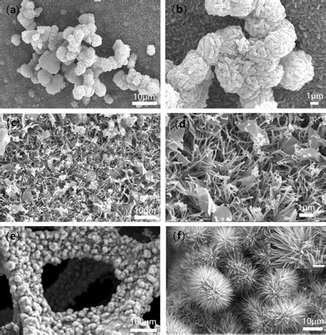 A B Sem Image Of Comoo Microspheres On Ni Foam C D Sem Image Of