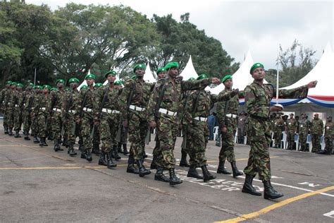 Daily News Kenya 73 Al Shabaab Fighters Killed By Kenyan Troops