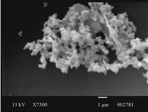 Synthesis Of Polypyrrole Using Ferric Chloride Fecl As Oxidant