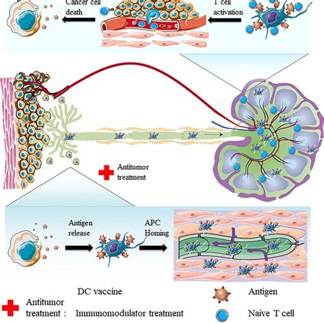 Nanoparticle Based Approaches To Target The Lymphatic System For