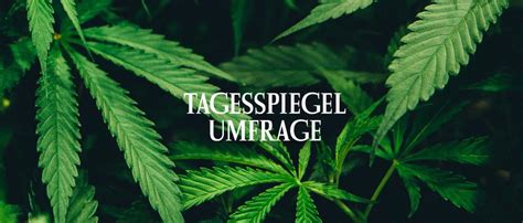 Nehmen Sie Jetzt An Der Umfrage Teil Wie Stehen Sie Zur Legalisierung