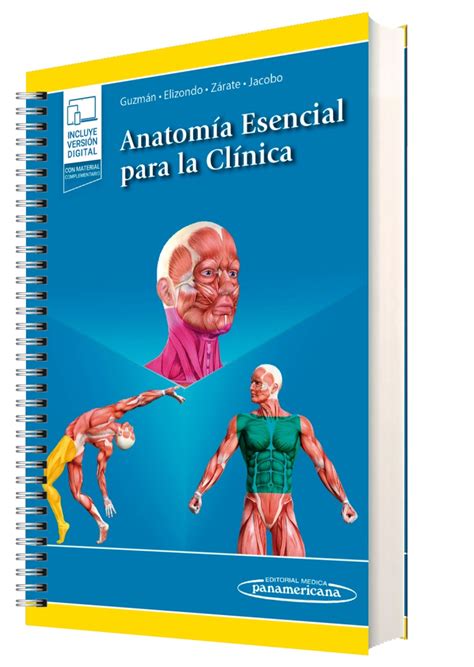 Anatomía Esencial Para La Clínica Libros De Bolsillo Anatomía Esencial