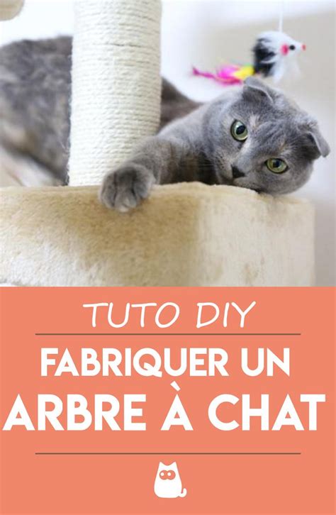 Comment faire un arbre à chat maison GUIDE COMPLET en 2024 Arbres à