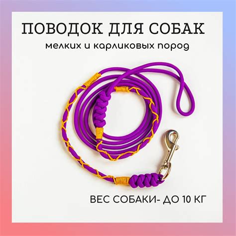 Поводок для собак мелких пород - купить с доставкой по выгодным ценам в ...