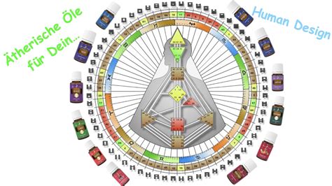 Therische Le F R Dein Human Design