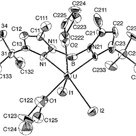 An Ortep Drawing Of Complex 1 With Atom Numbering Scheme Thermal Download Scientific Diagram