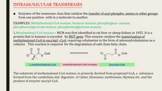 Isomerases PPT