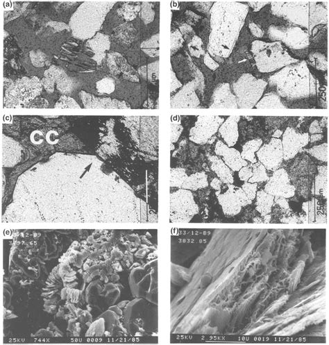 Thin Section And SEM Photographs Of Statfjord Field Sandstones A