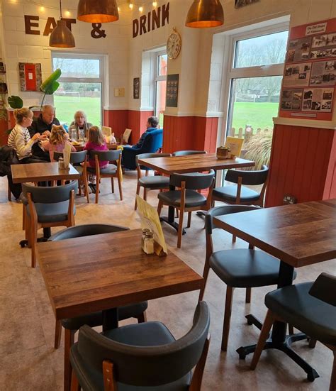 New Café Chairs - Fittleworth Stores
