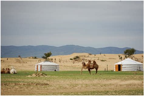 Extending Your Tourist Visa in Mongolia - Snaps, Scribbles & Suitcases