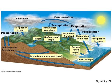 Ecological Cycles