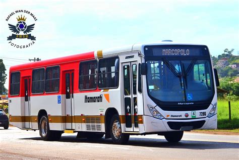 Expresso Itamarati renova sua frota metropolitana Ônibus Transporte