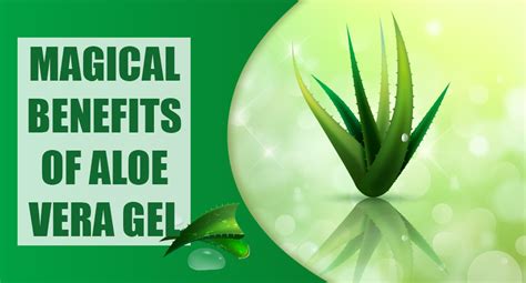 Magical Benefits of Aloe Vera Gel | Local Verandah