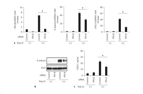 Poly Ic Induced E Selectin And Cxcl1 Expression Was Inhibited By Ifn β Download Scientific