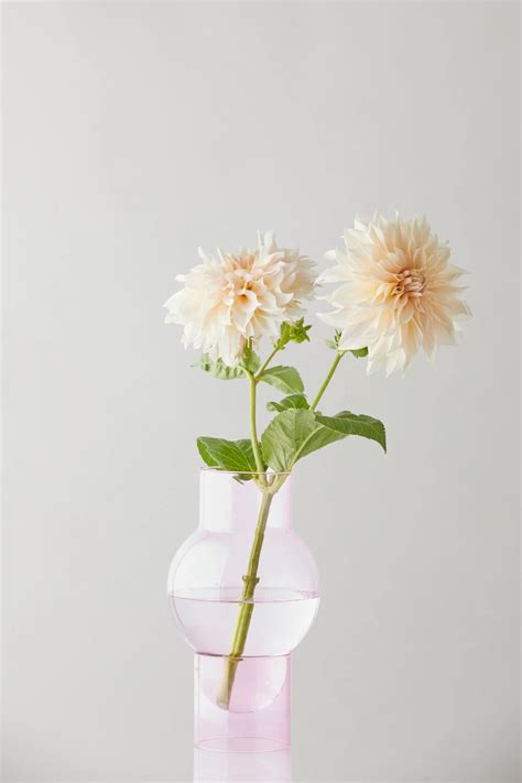 Studio About Bubble Tube Vase H Cm Rosa Vaser Hjem Dk