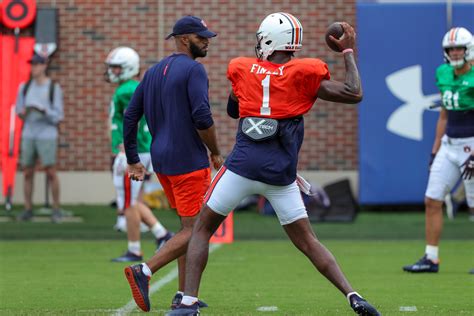 Breaking down Auburn's FPI percentages for the Mercer game - Sports ...