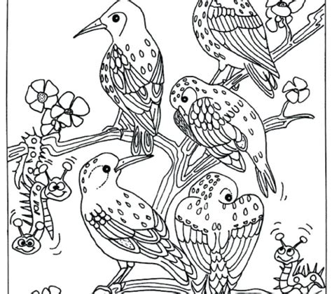 Birds Of Prey Coloring Pages at GetColorings.com | Free printable ...