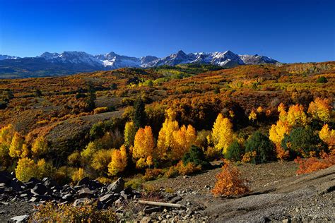 Dallas Divide Fall Colors Photograph by Rendell B - Fine Art America