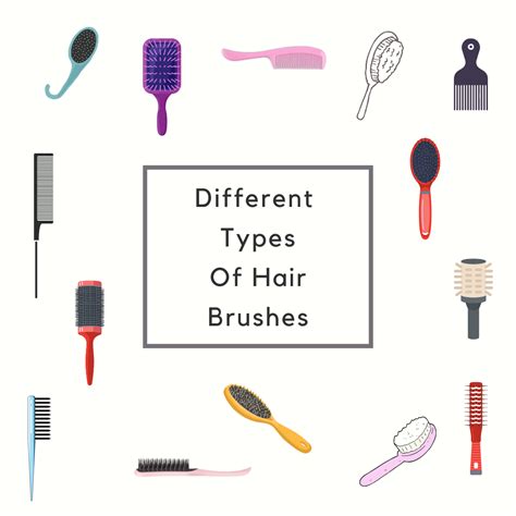 Base Hairdressing Different Types Of Hair Brushes Hairdressers In