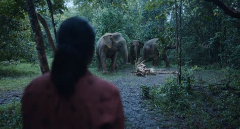 Prime Video's 'Poacher' takes a deep dive into the ivory trade in India | Mashable