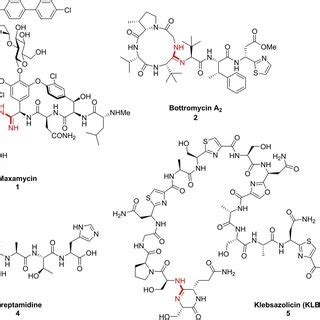 Reported Synthetic Strategies Toward Peptide Derived Cyclic Amidine