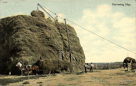 Harvesting Hay Farming