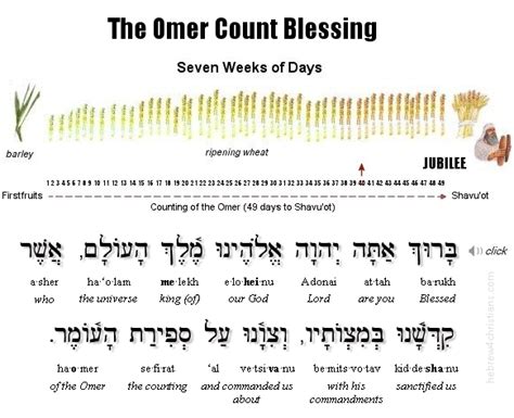 Sefirat Haomer Counting The Omer