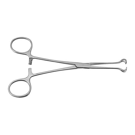 BABCOCK Intestinal Grasping Forceps Tontarra Extranet