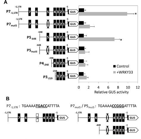 Figure From The Arabidopsis Ubiquitin Ligase Atl Is