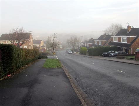 Foggy Rowan Way Malpas Newport Jaggery Cc By Sa Geograph