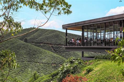 Boh Tea Plantation – Rickshaw Transport Enterprise