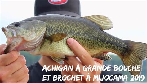 Achigan Grande Bouche Et Brochet Mijocama Sixi Me Sens Youtube