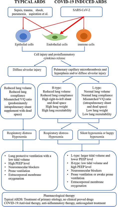 Frontiers Comparison Of Covid 19 Induced Respiratory Failure And