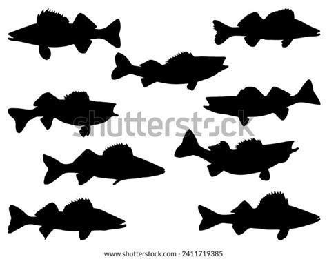 Walleye Fish Silhouette Vector Art White Stock Vector (Royalty Free) 2411719385 | Shutterstock