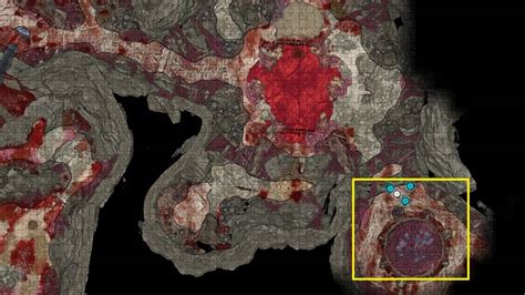 Baldur's Gate 3 (BG3) Necrotic Laboratory Puzzle Solution - Pro G