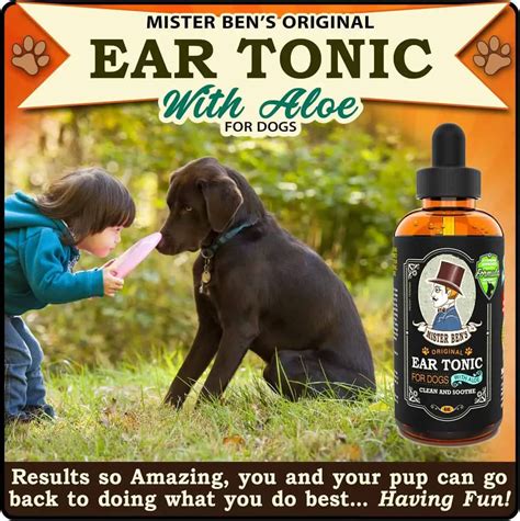 10 Best Dog Ear Cleaner Solution for Aural Safety