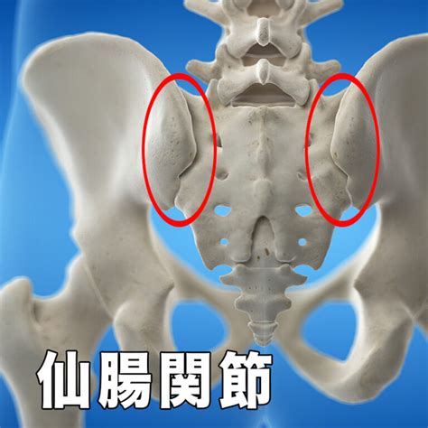 【仙腸関節障害】仙腸関節がロックした時の外し方 ゆかい整体（癒快グループ）
