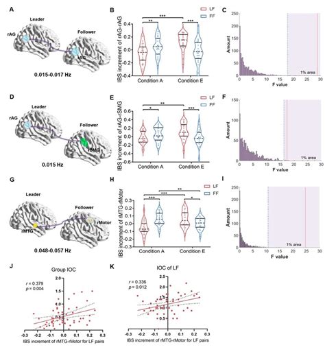 Cerebral Cortex