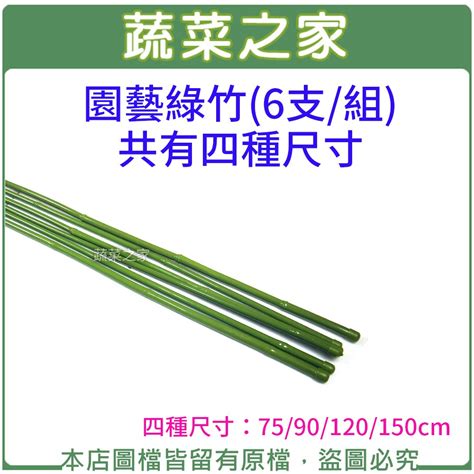 【蔬菜之家滿額免運】園藝綠竹 6支組 共有四種尺寸 支架 竹竿 竹子 固定支架 支撐架 爬藤桿 植物 園藝造景 蝦皮購物