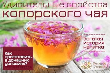 Крымский чай – целебные сборы с солнечного полуострова